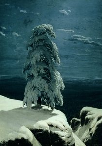 I det vilde nord, 1891